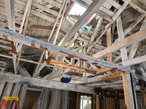 kitchen and whole-home remodel in Bay Area — under construction, photo 21