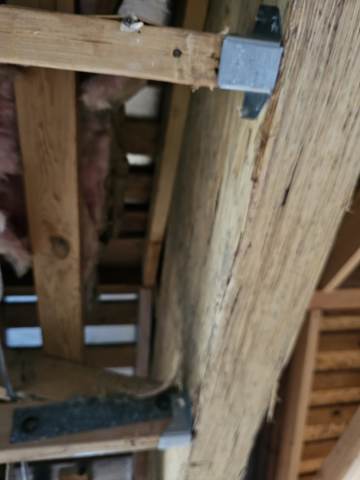 kitchen and whole-home remodel in Bay Area — under construction, photo 29
