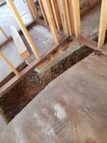 whole-house remodel in Bay Area — before work started, photo 29