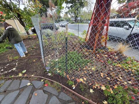 interior and exterior remodel in Bay Area — under construction, photo 23