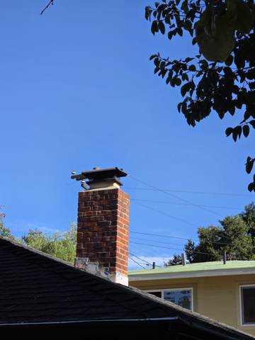 structural remodel in progress in Bay Area — under construction, photo 77